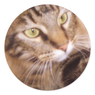 Distressed Round Stickers by lovlydaisies