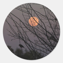 Distressed Round Stickers
