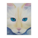Ditto Postcard
