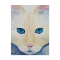 Ditto Postcard