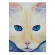 Ditto Postcard postcards