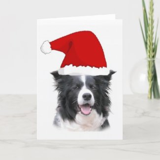 Ditzy Dogs~Border
                                                Collie Notecard~Christmas
