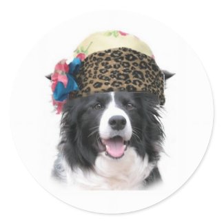 Ditzy Dogs~Border
                                                Collie Sticker