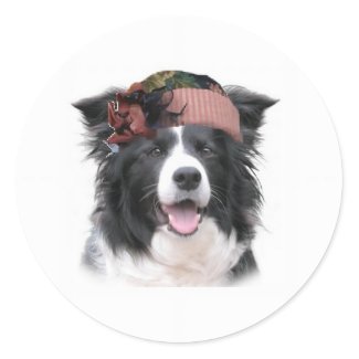 Ditzy Dogs&quot;~Border
                                                Collie Sticker~Easter