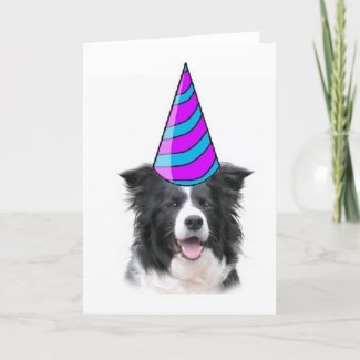 Ditzy
                                                Dogs~Greeting Card~Border Collie Birthday
