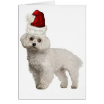 Ditzy Dogs~Original Greeting Card~Maltese