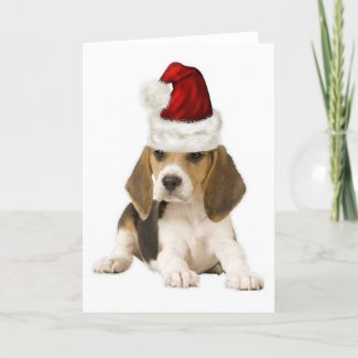 Ditzy
                           Dogs~Original Notecard~Beagle~Christmas