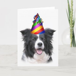 Ditzy
                                                Dogs~Original Notecard~Border Collie~B&#39;day