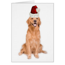Ditzy Dogs~Original Notecard~Golden Retriever