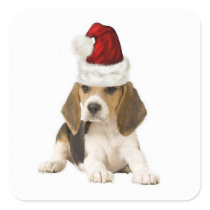Ditzy Dogs~Original Sticker~Beagle~Christmas