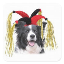 Ditzy Dogs~Original Sticker~Border Collie~Aor 1