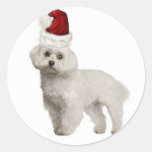 Ditzy Dogs~Original Sticker~Christmas~Maltese