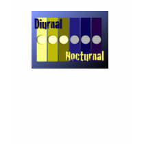 DIURNAL : NOCTURNAL Shirt by JMoney2008 DIURNAL : NOCTURNAL Shirt