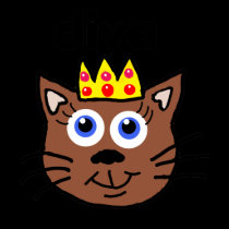 Diva Cat T-Shirt by Rajee1 Diva Cat T-Shirt