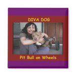 DIVA DOG Co-Star Kelli McCarty &amp; Coral Magnet