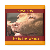 DIVA DOG Coral's Close-up Fridge Magnet by chriscory28 DIVA DOG Coral's Close-up Fridge Magnet