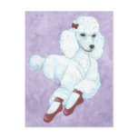 Diva Dog Postcards