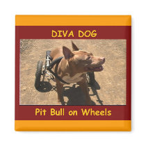 DIVA DOG Truckin' Refrigerator Magnet