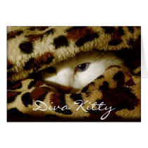 Diva Kitty cards