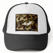 Diva Kitty hats
