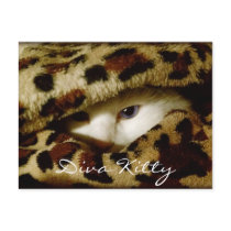 Diva Kitty postcards