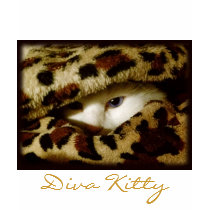 Diva Kitty t-shirts