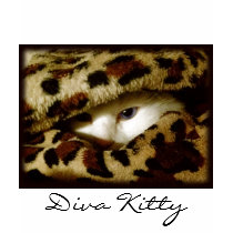 Diva Kitty t-shirts