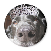 Diva magnet by malibuitalian Diva magnet