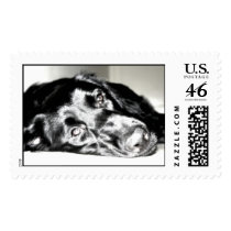 Diva postage