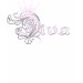 Ladies Baby Doll (Fitted)