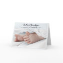 Diva's Congratulations-New Grandson Greeting Card