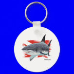 Dive Club Collection