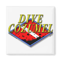 Dive Cozumel Refrigerator Magnets