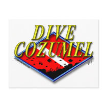 Dive Cozumel Postcard