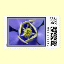 Dive in postage