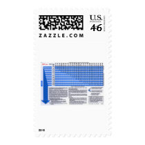 Dive Tables for Serious Divers postage by FishTsdotcom Dive Tables for Serious Divers postage