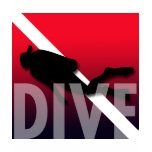 DIVE TEE SHIRTS