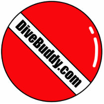 DiveBuddy.com Key Chain photo sculptures by divebuddy DiveBuddy.com Key Chain photo sculptures