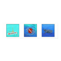DiveBuddy.com Poster posters by divebuddy DiveBuddy.com Poster posters