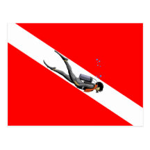 Diver And Dive Flag Post Card