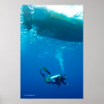 Diver Below Poster