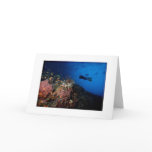 Diver on Reef Greeting Card