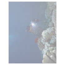 Diver shooting video on coral bed letterhead template