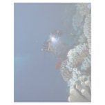 Diver shooting video on coral bed letterhead template
