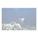 Diver shooting video on coral bed stationery design