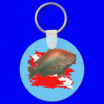 Divers Collection by FishTs.com