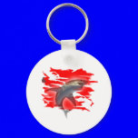 Divers Collection by FishTs.com