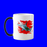 Divers Collection by FishTs.com