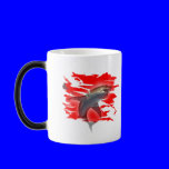 Divers Collection by FishTs.com