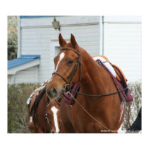 Diversified Artie Poster 1 posters by EquineGal Diversified Artie Poster 1 posters
